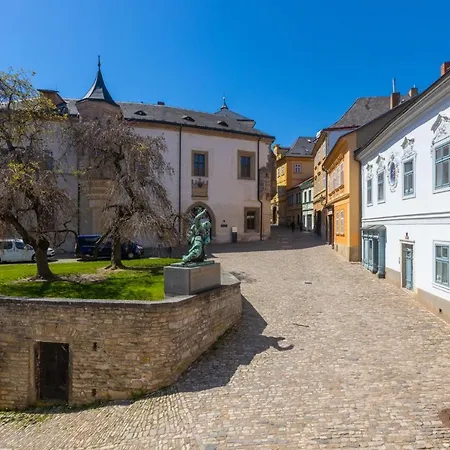 U Hradku بيت ضيافة كوتنا هورا