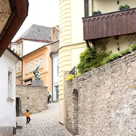 U Hradku بيت ضيافة كوتنا هورا