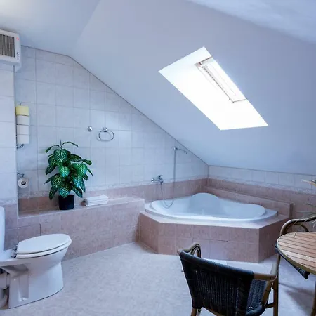 بيت ضيافة U Hradku